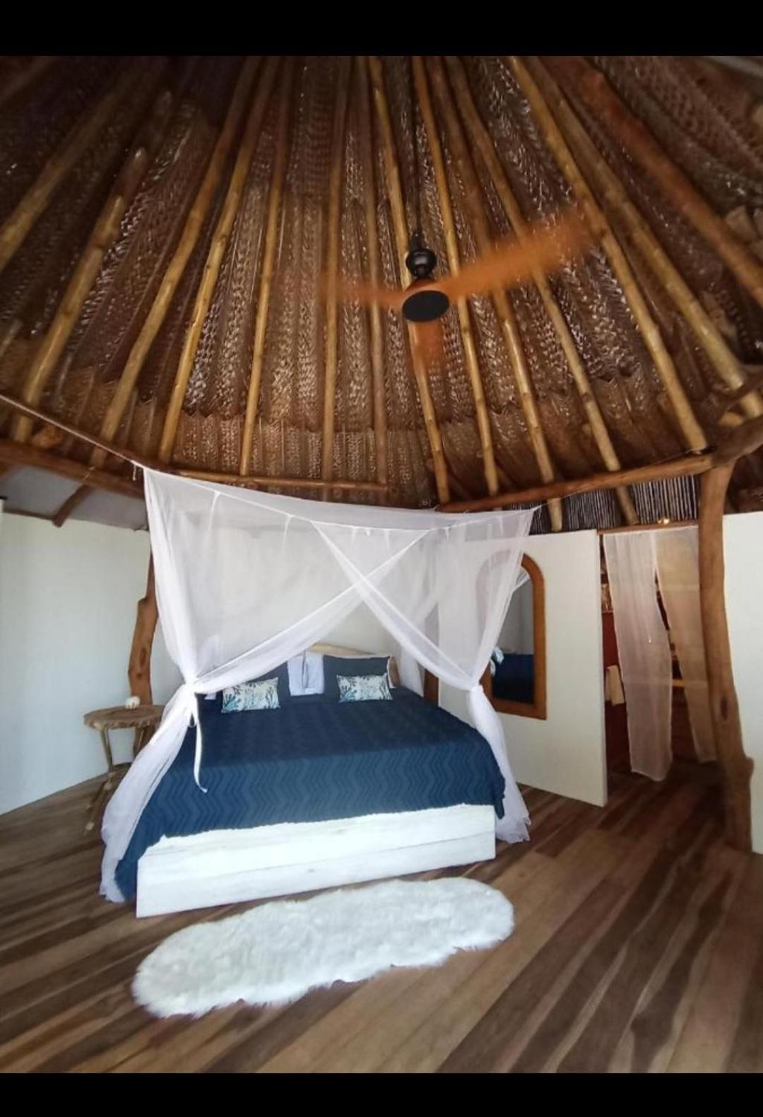 Nueva Onda Bed & Breakfast Palomino Exterior photo