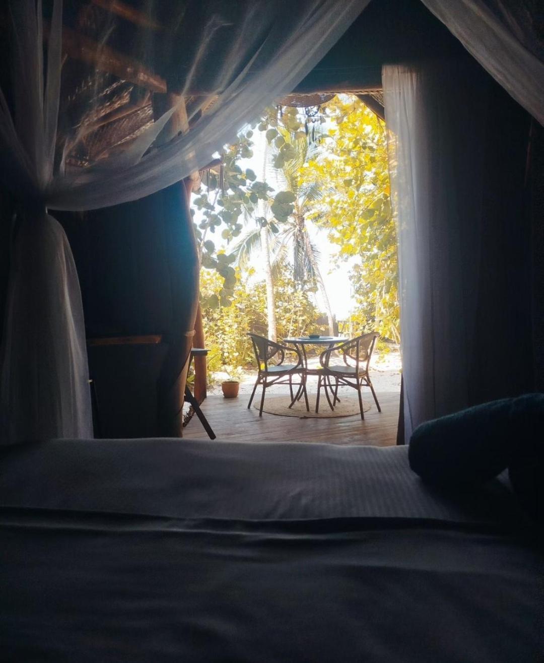 Nueva Onda Bed & Breakfast Palomino Exterior photo