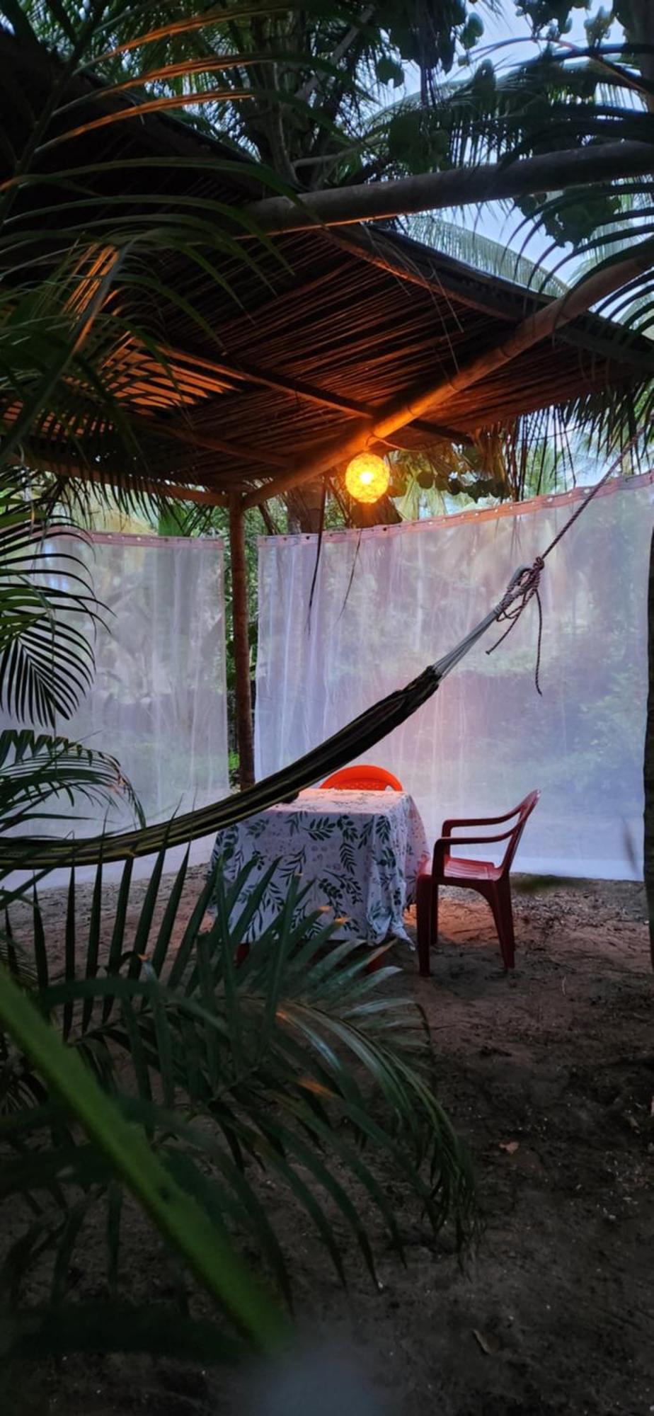 Nueva Onda Bed & Breakfast Palomino Exterior photo