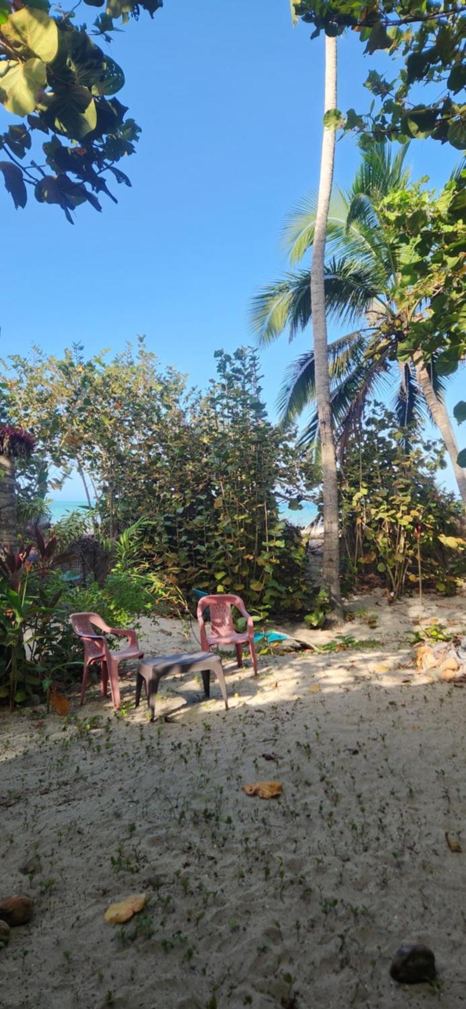 Nueva Onda Bed & Breakfast Palomino Exterior photo